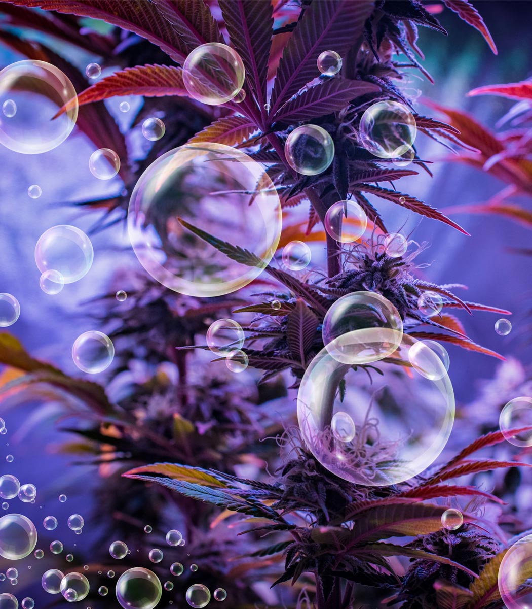 Understanding The Power Of PERCS